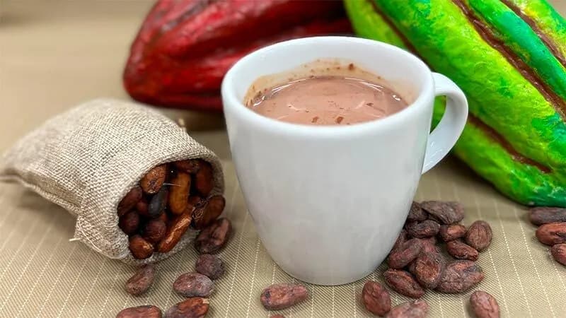 A warm cup of ceremonial cacao