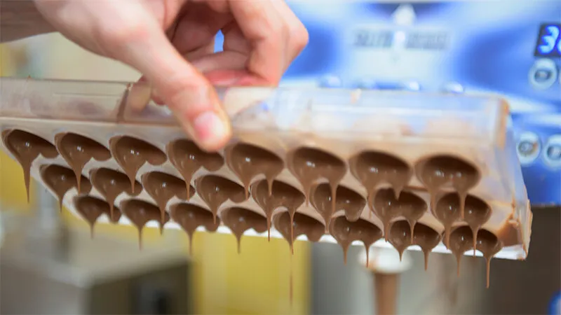 Dragons, Donkeys & Butterflies