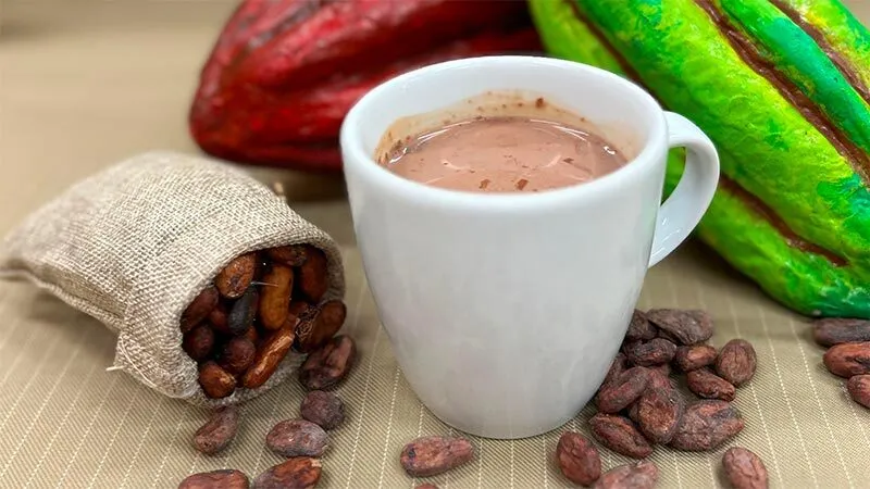 Deluxe Donkeys, Dragons & Butterflies