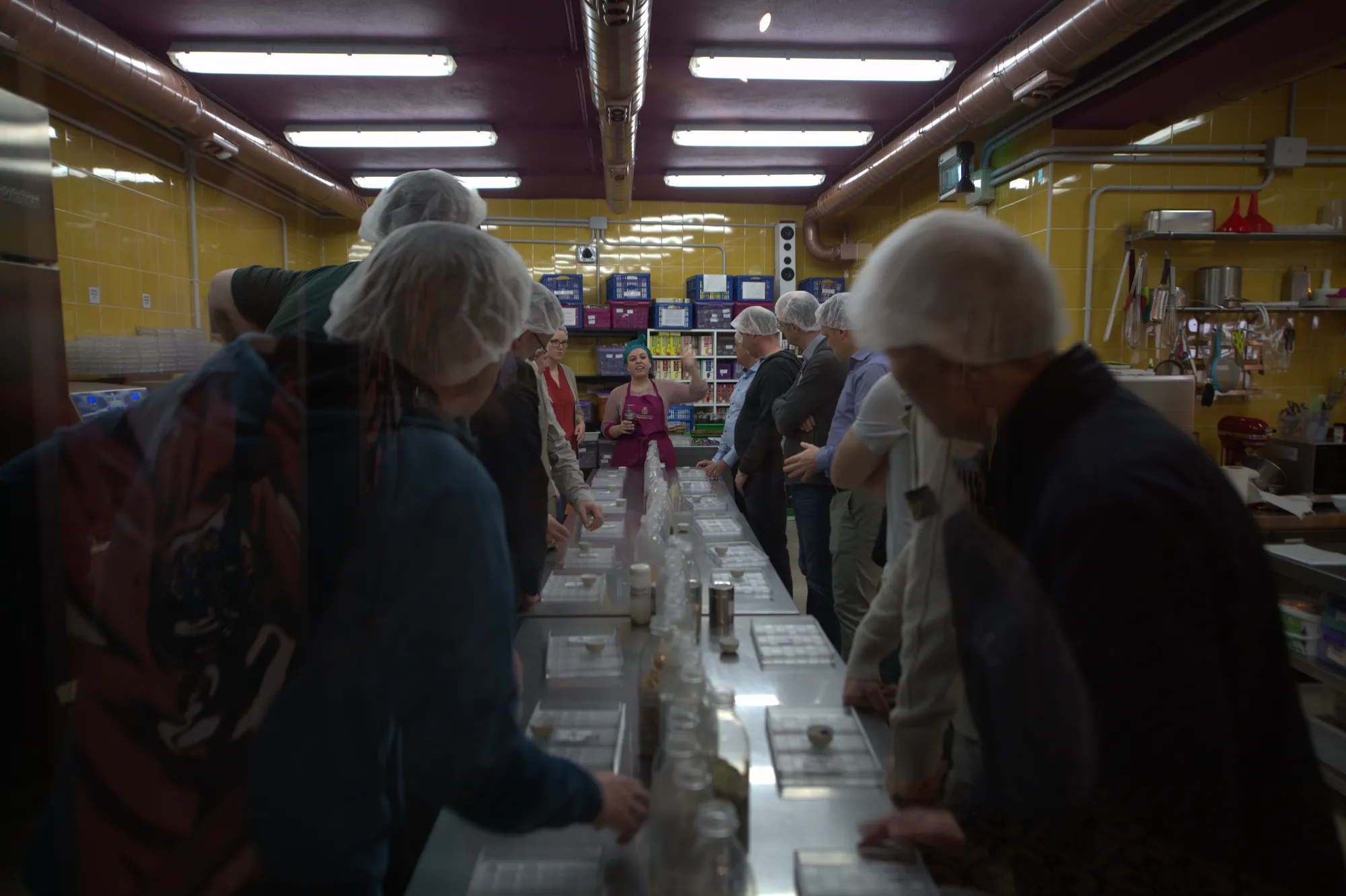 Mayan Monkey Chocolate Factory