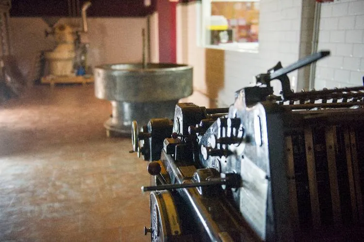 Mayan Monkey Chocolate Factory