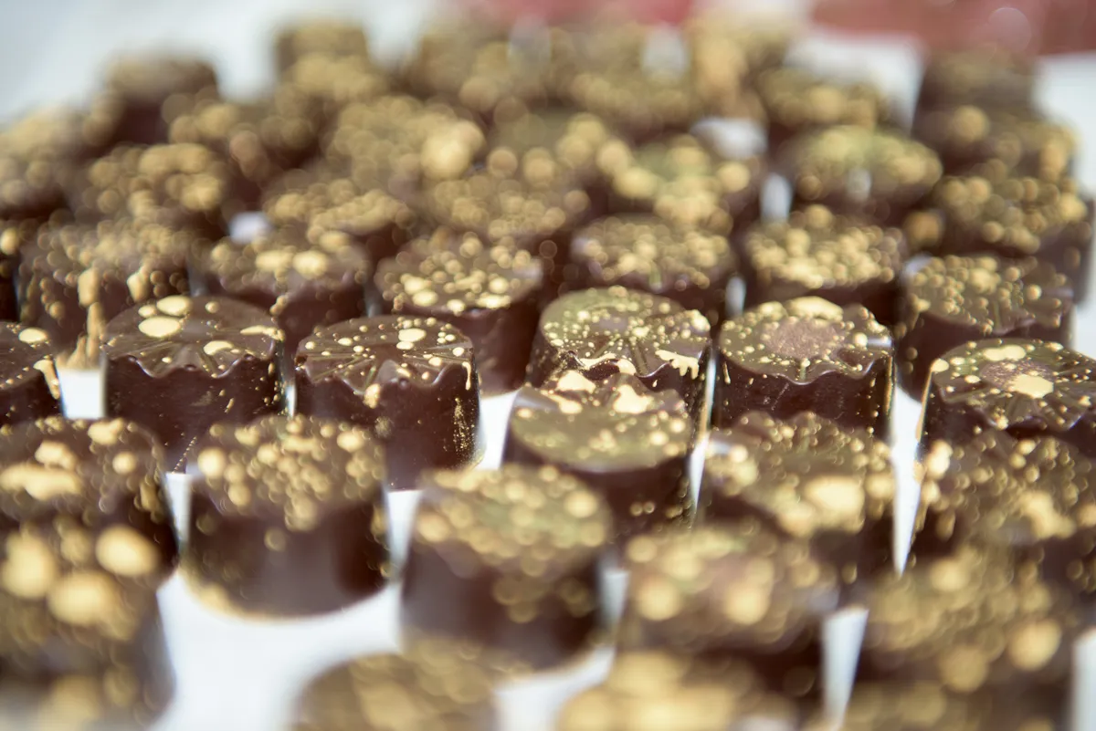 Mayan Monkey Chocolate Factory