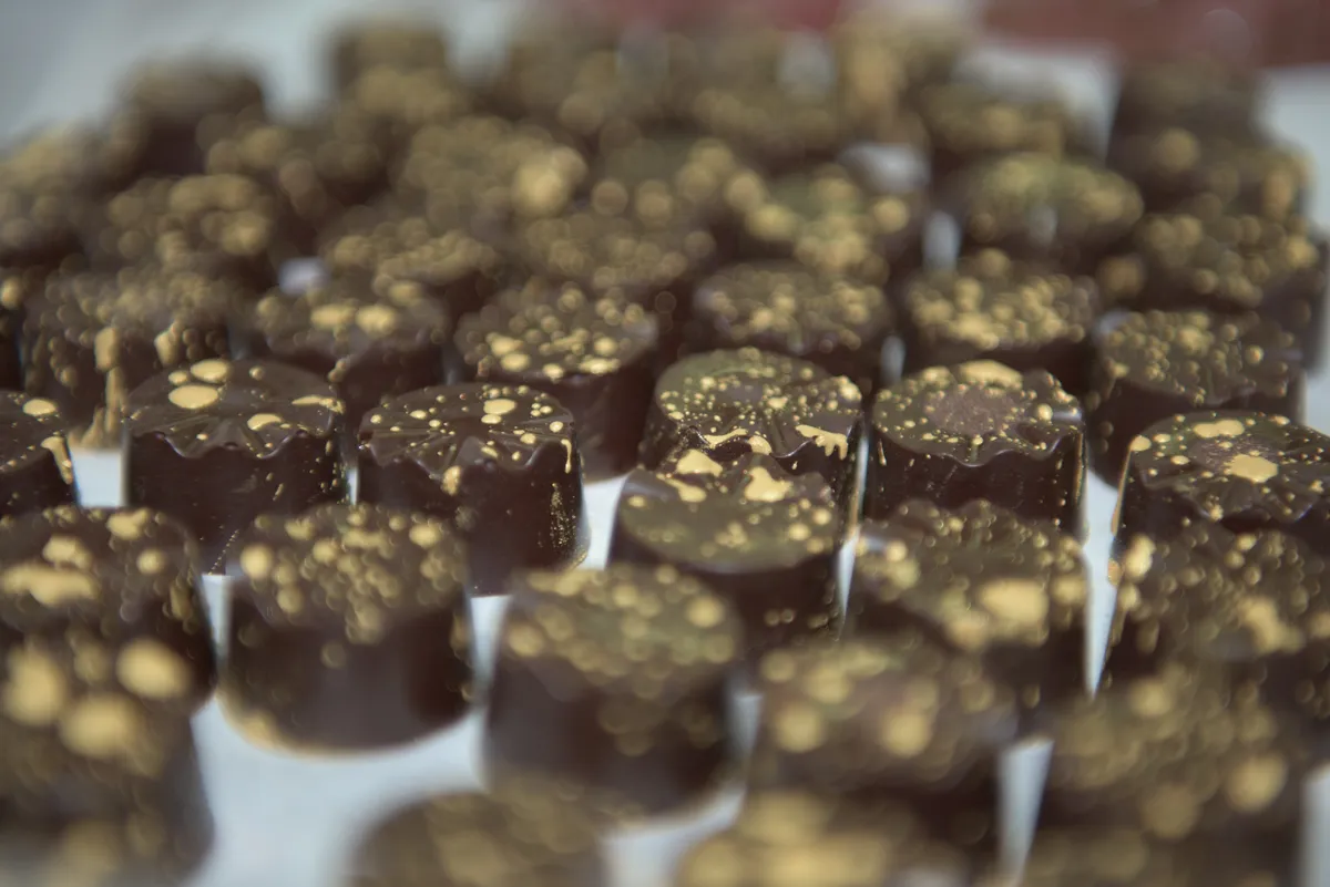 Mayan Monkey Chocolate Factory