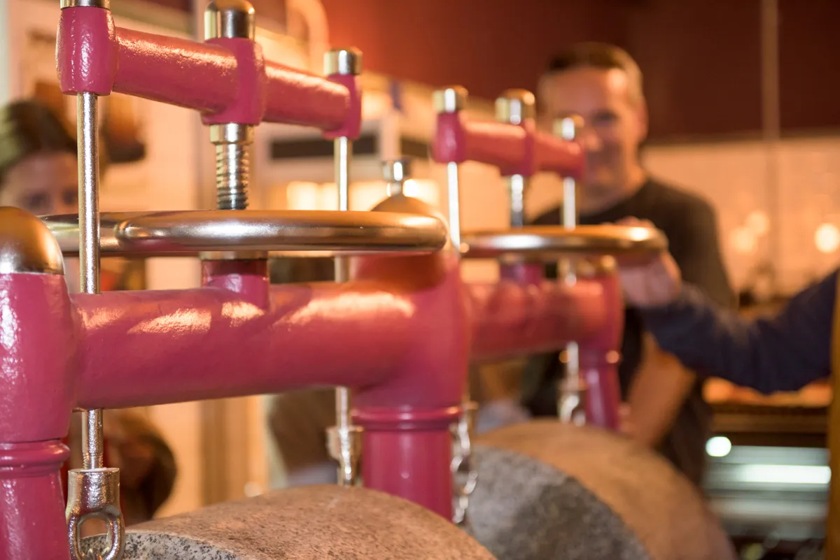 Mayan Monkey Chocolate Factory