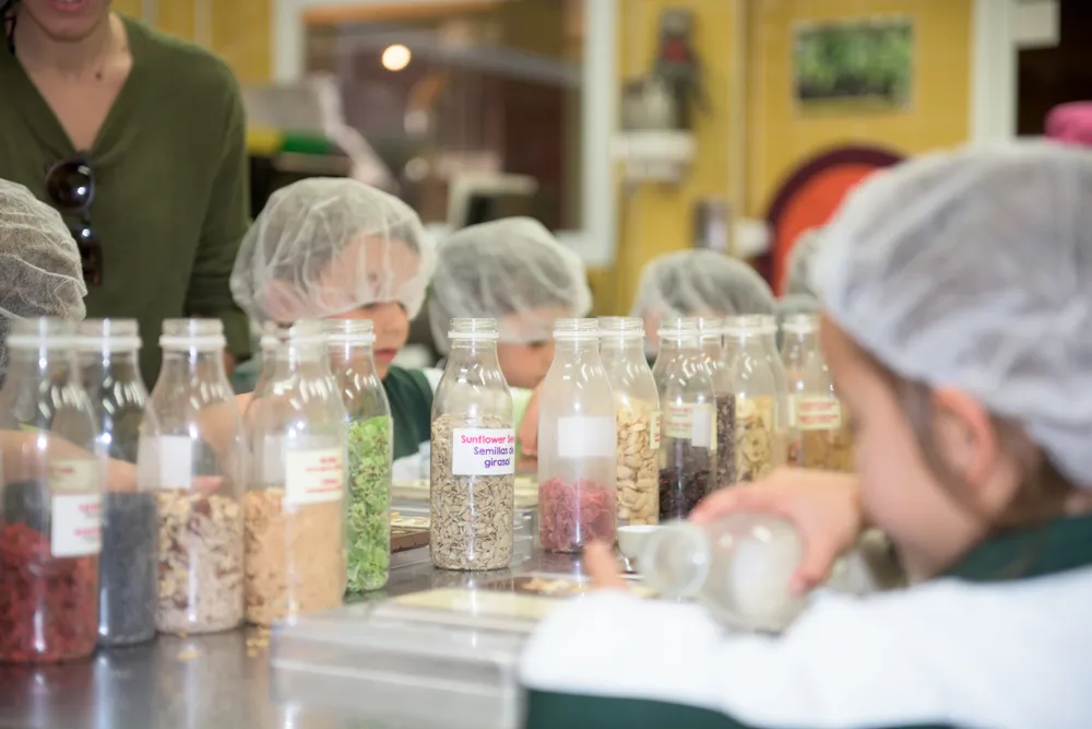 Mayan Monkey Chocolate Factory