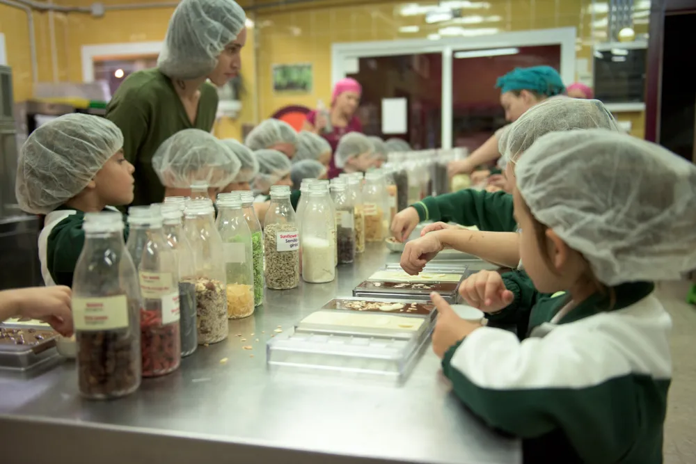 Mayan Monkey Chocolate Factory