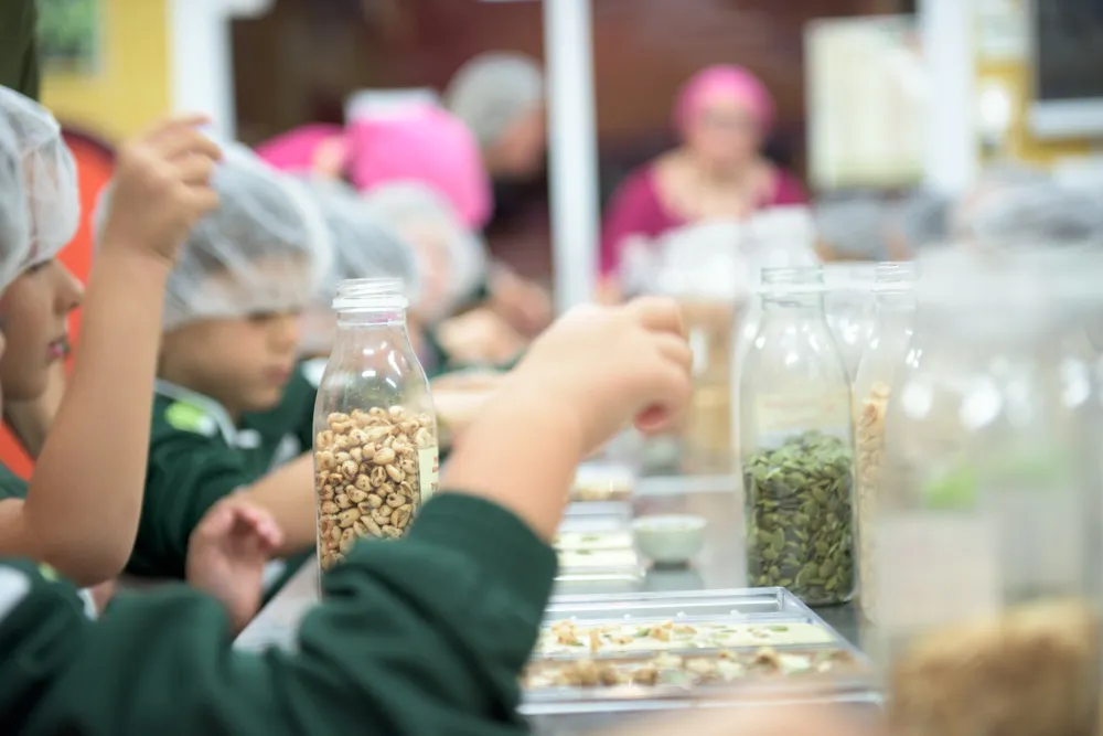 Mayan Monkey Chocolate Factory