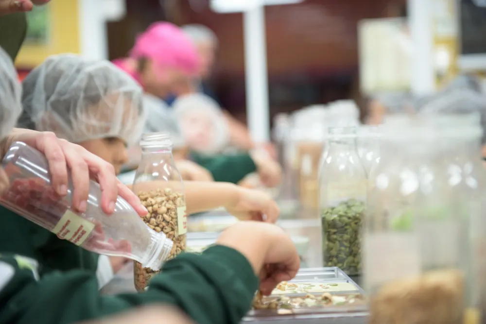 Mayan Monkey Chocolate Factory