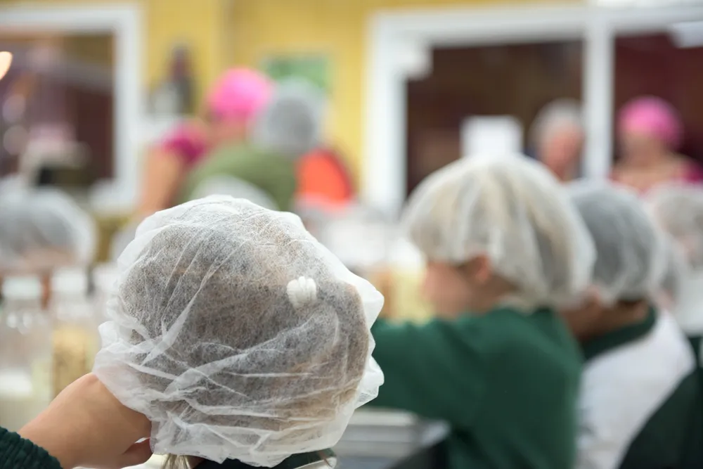 Mayan Monkey Chocolate Factory