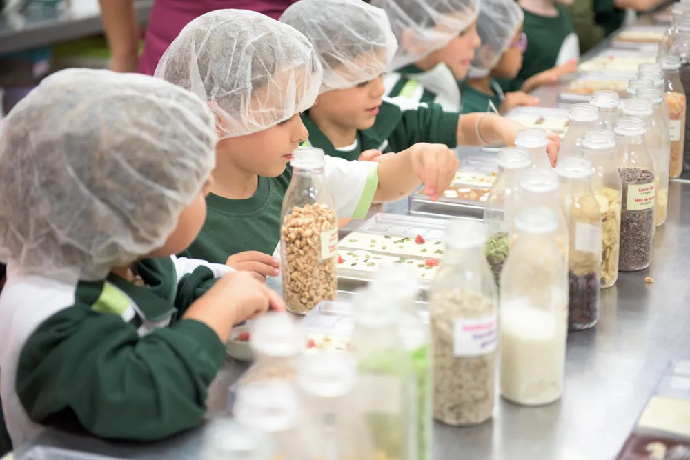 Mayan Monkey Chocolate Factory