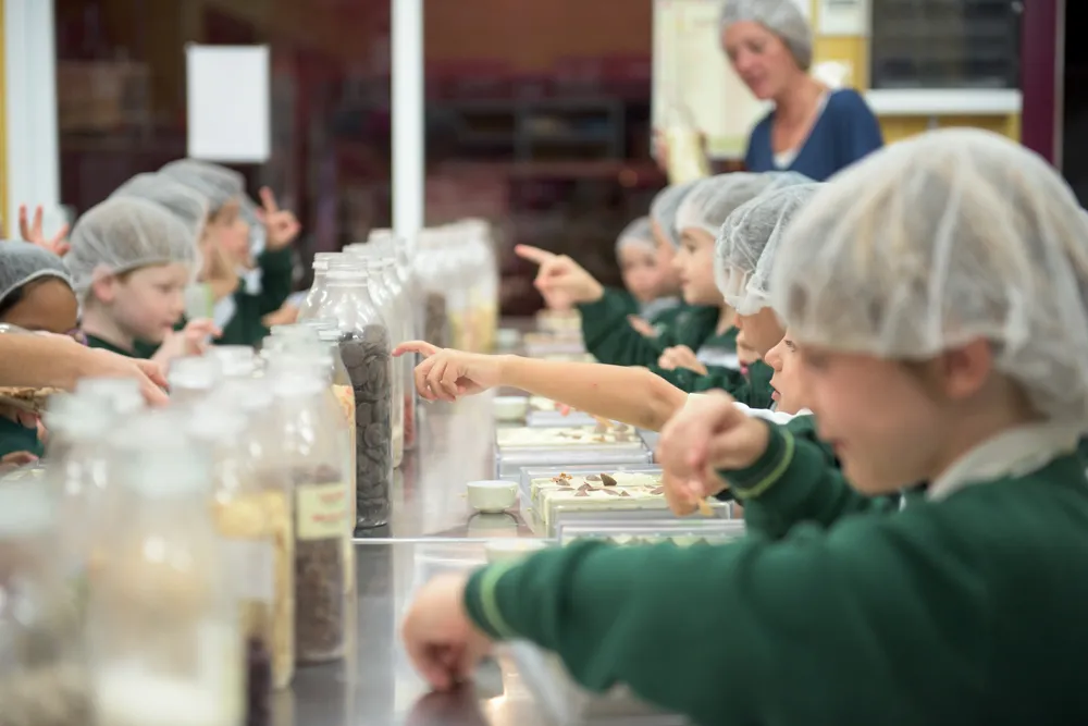 Mayan Monkey Chocolate Factory