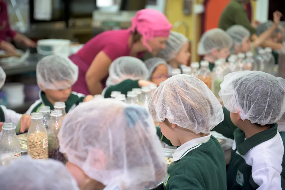 Mayan Monkey Chocolate Factory