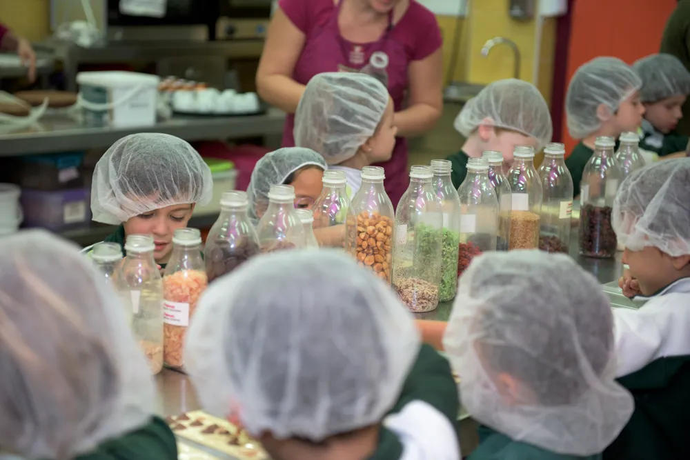 Mayan Monkey Chocolate Factory