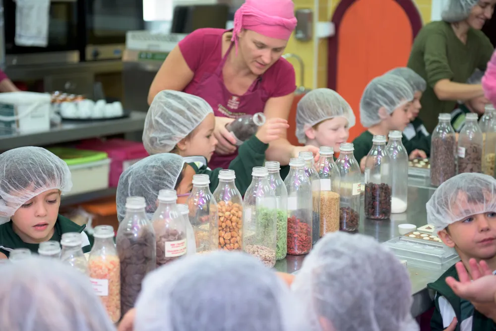 Mayan Monkey Chocolate Factory