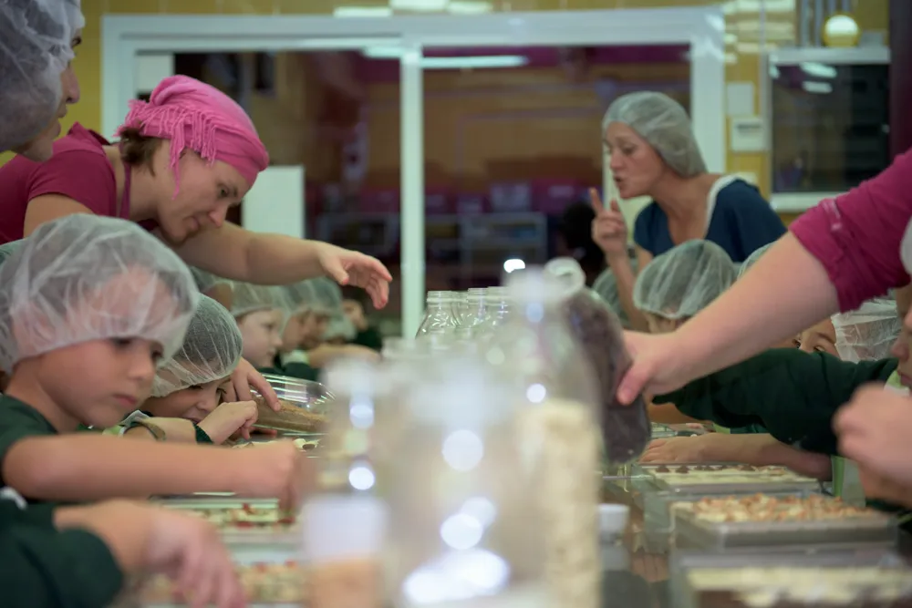 Mayan Monkey Chocolate Factory