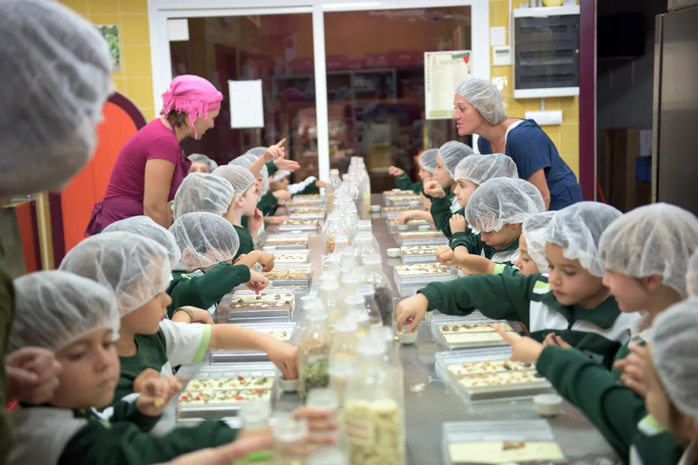 Mayan Monkey Chocolate Factory