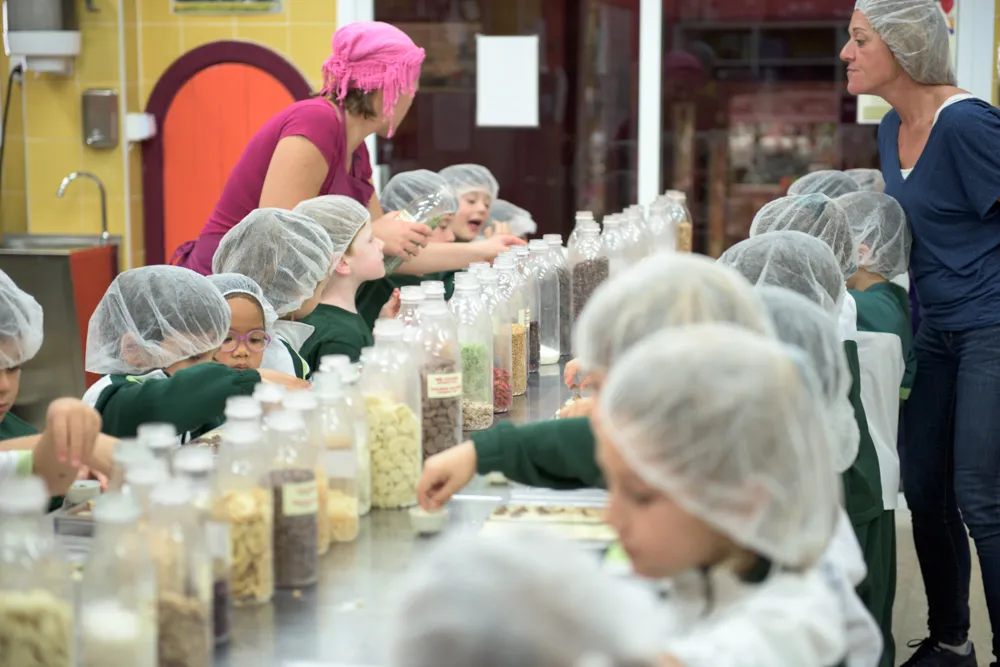 Mayan Monkey Chocolate Factory