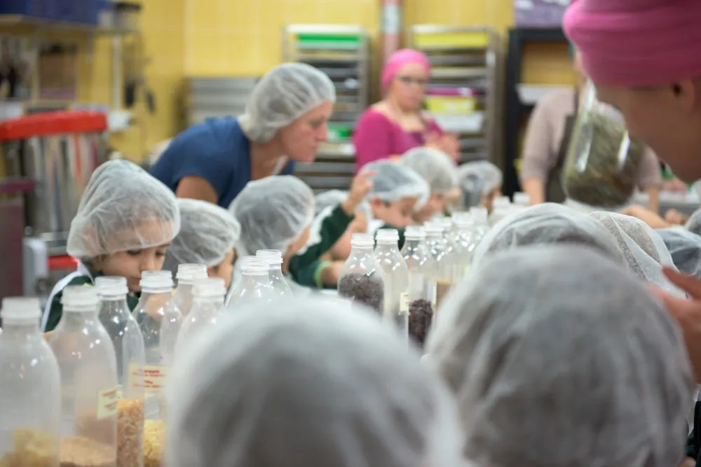 Mayan Monkey Chocolate Factory