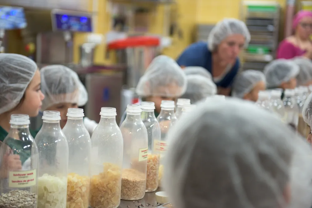 Mayan Monkey Chocolate Factory