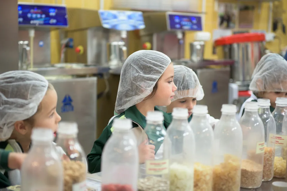 Mayan Monkey Chocolate Factory