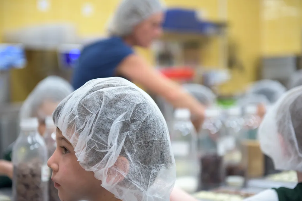 Mayan Monkey Chocolate Factory