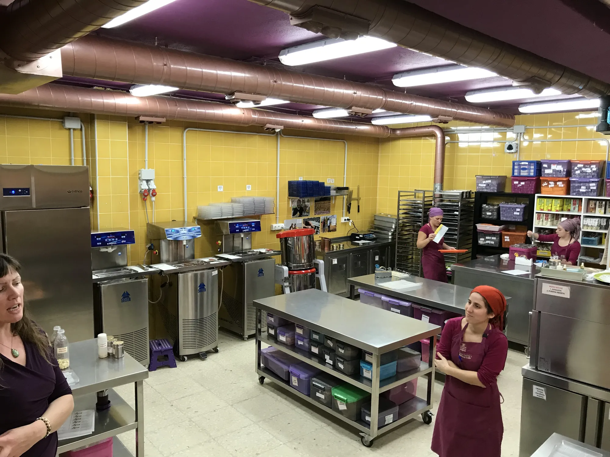 Mayan Monkey Chocolate Factory