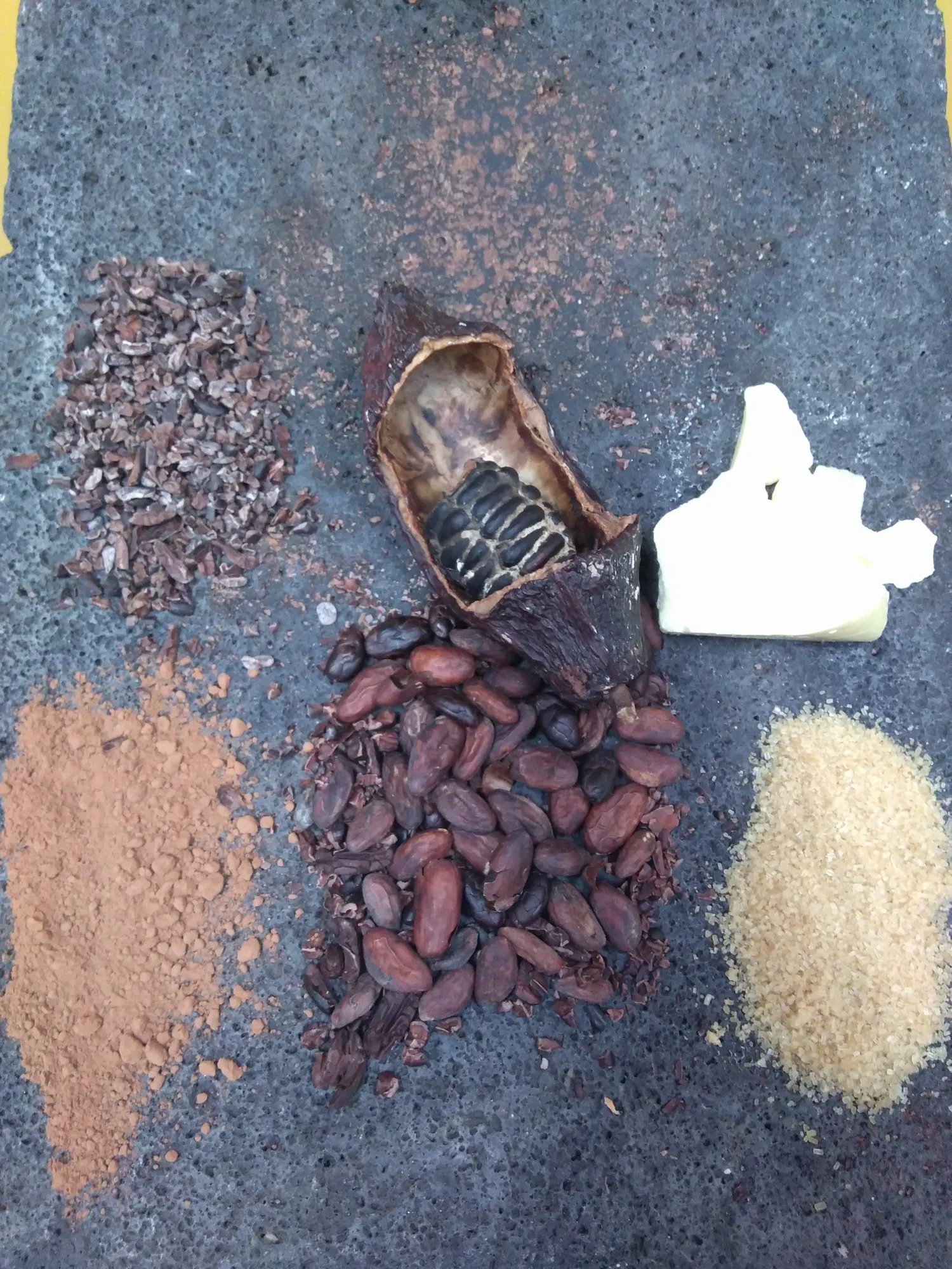 Mayan Monkey Chocolate Factory