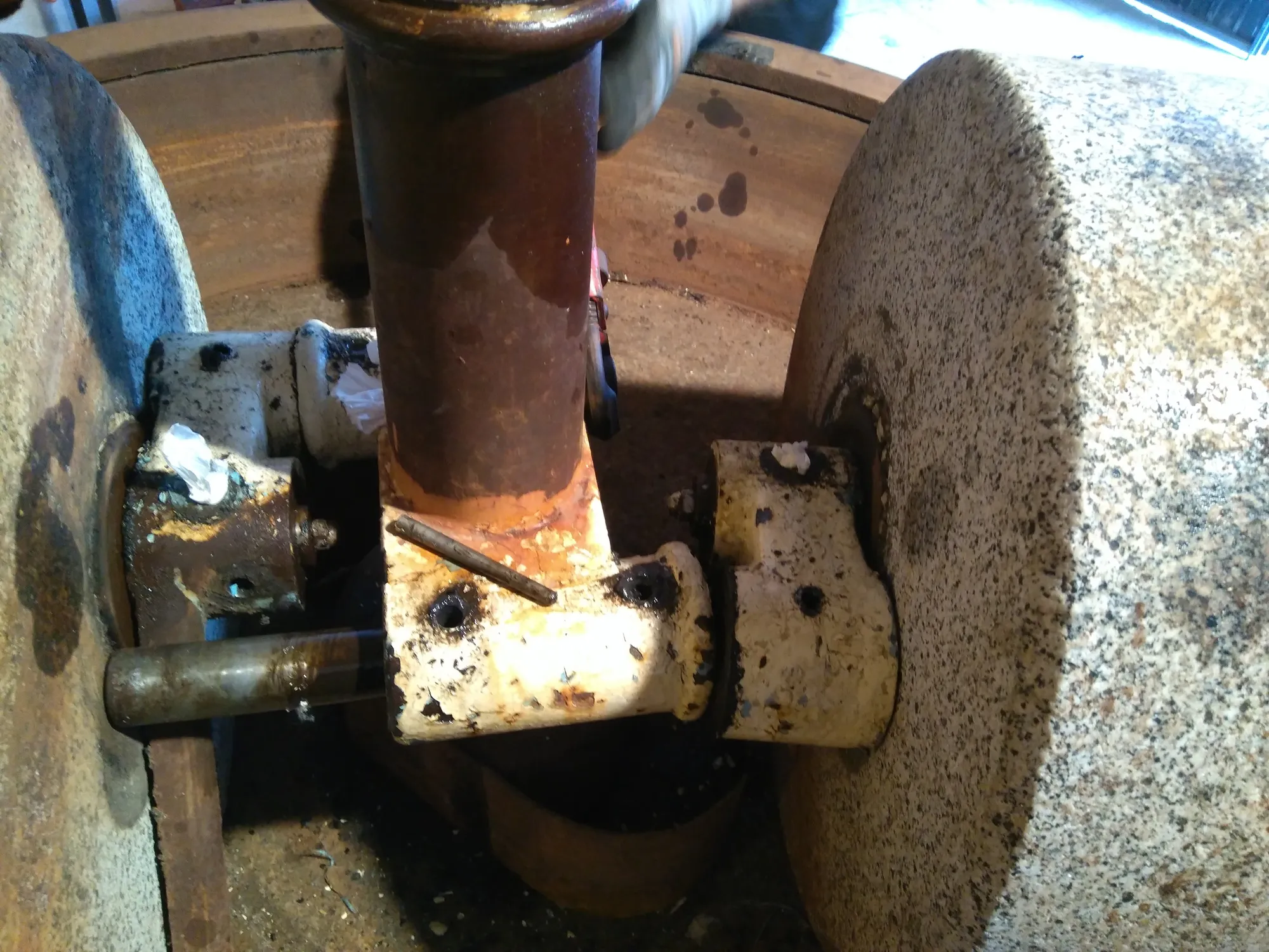 Mayan Monkey Chocolate Factory