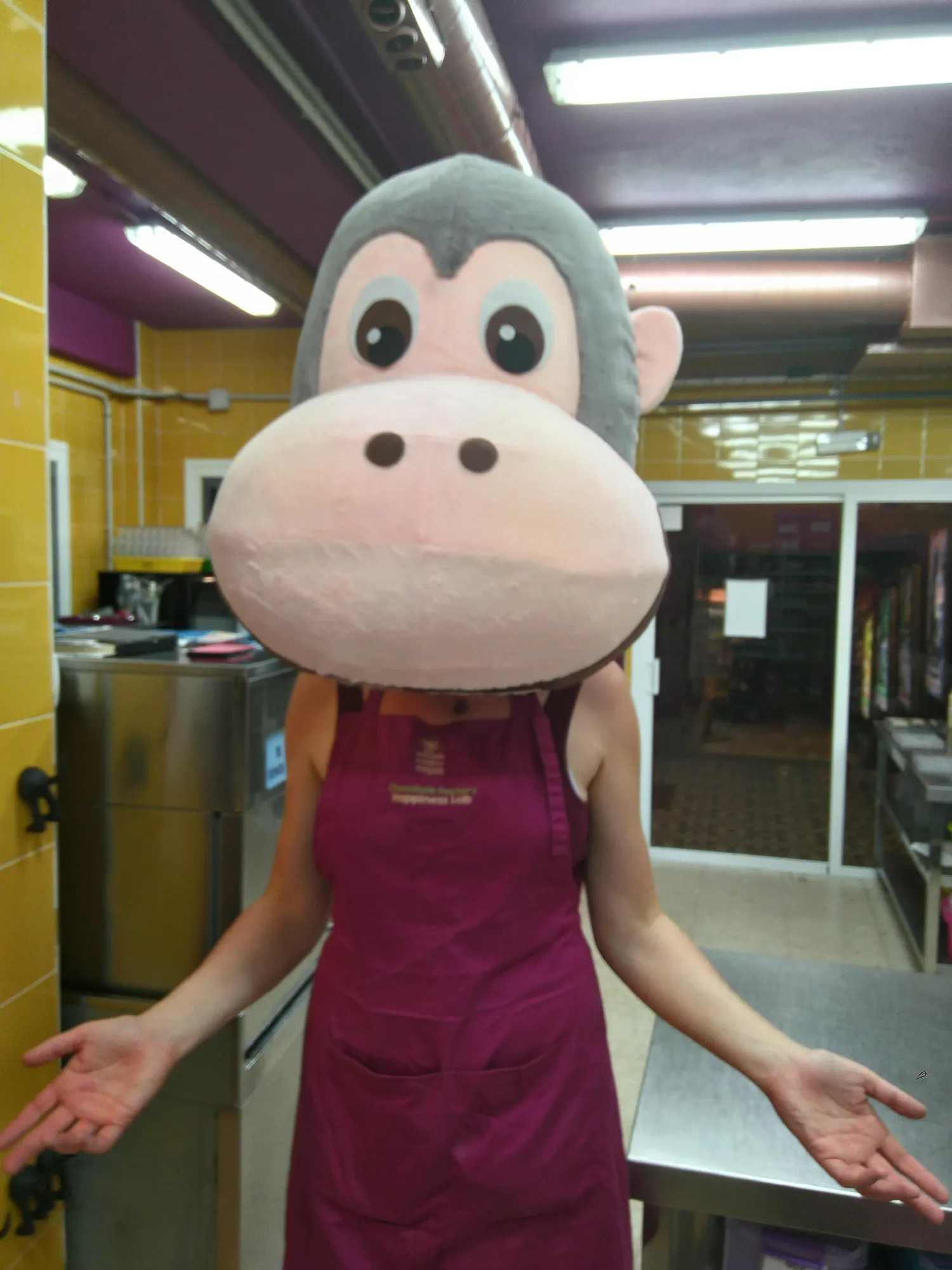 Mayan Monkey Chocolate Factory