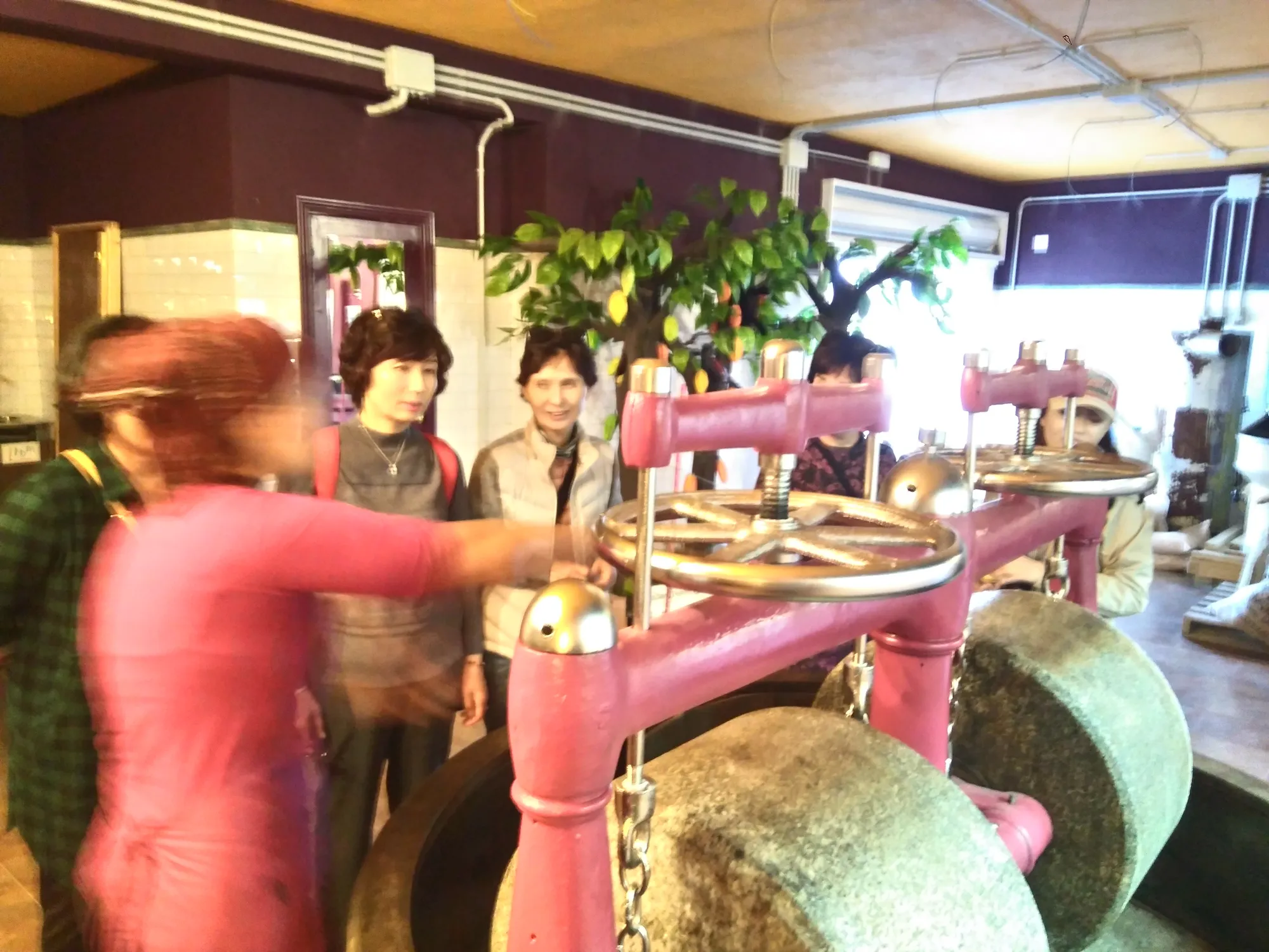 Mayan Monkey Chocolate Factory