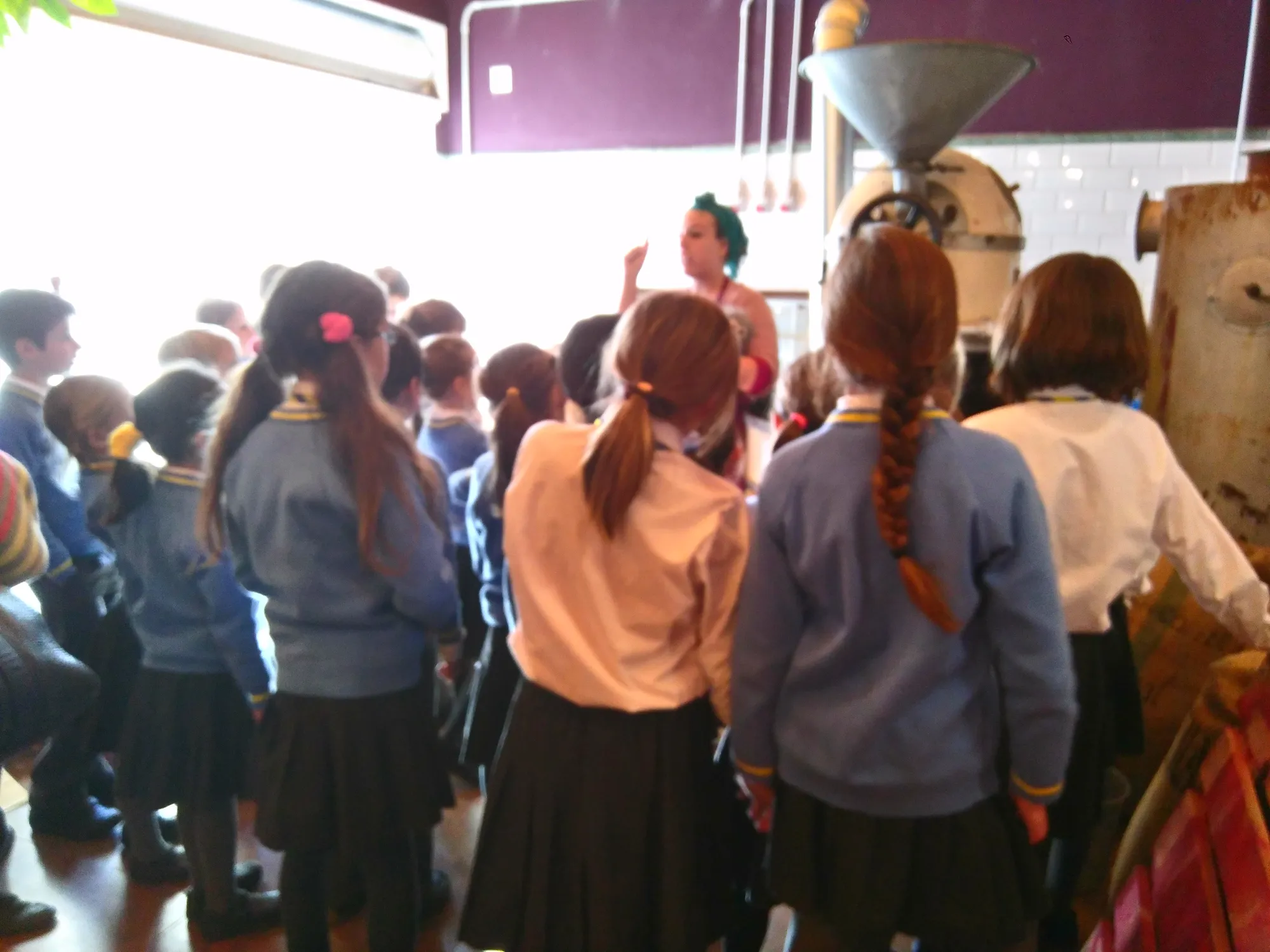 Mayan Monkey Chocolate Factory