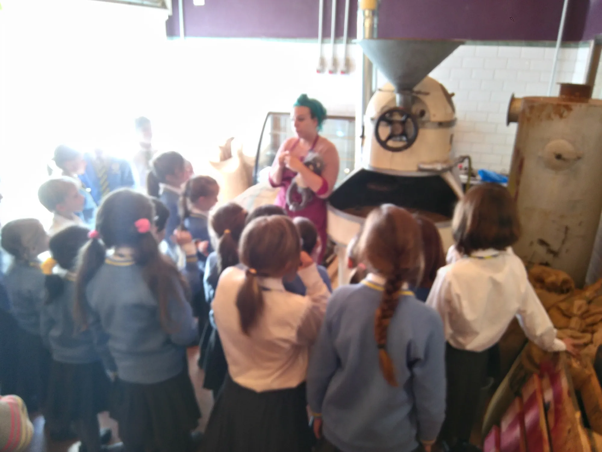 Mayan Monkey Chocolate Factory