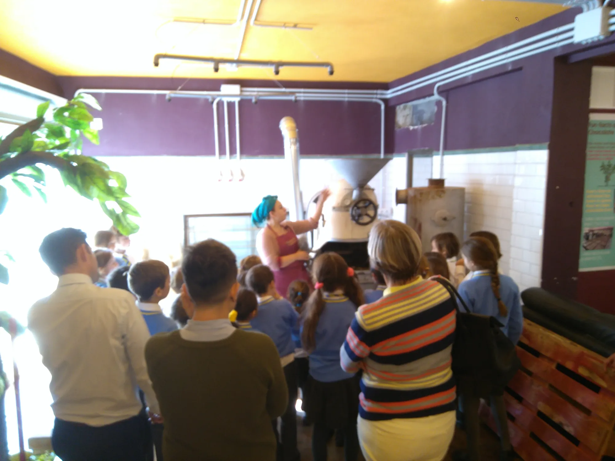 Mayan Monkey Chocolate Factory