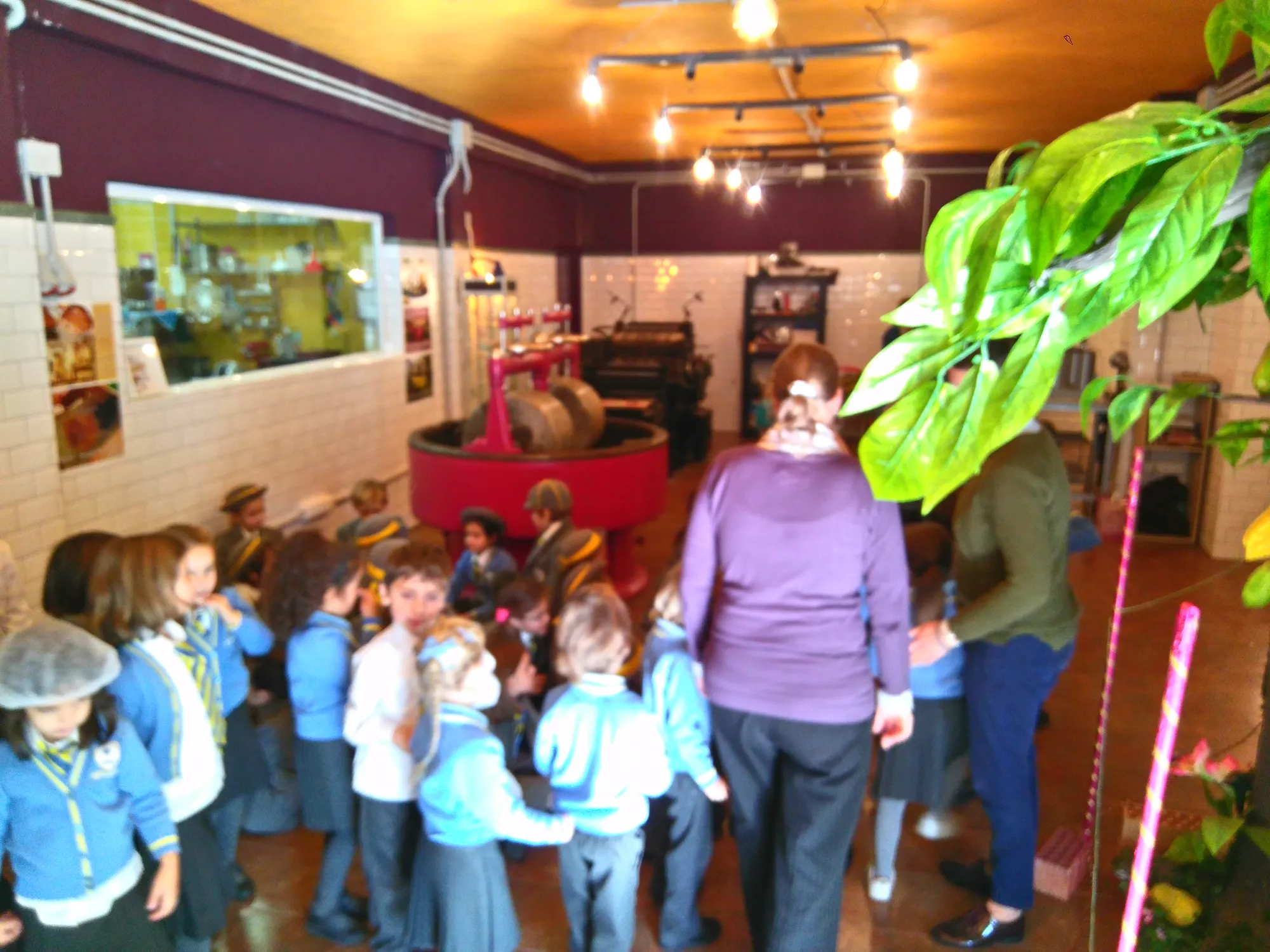 Mayan Monkey Chocolate Factory