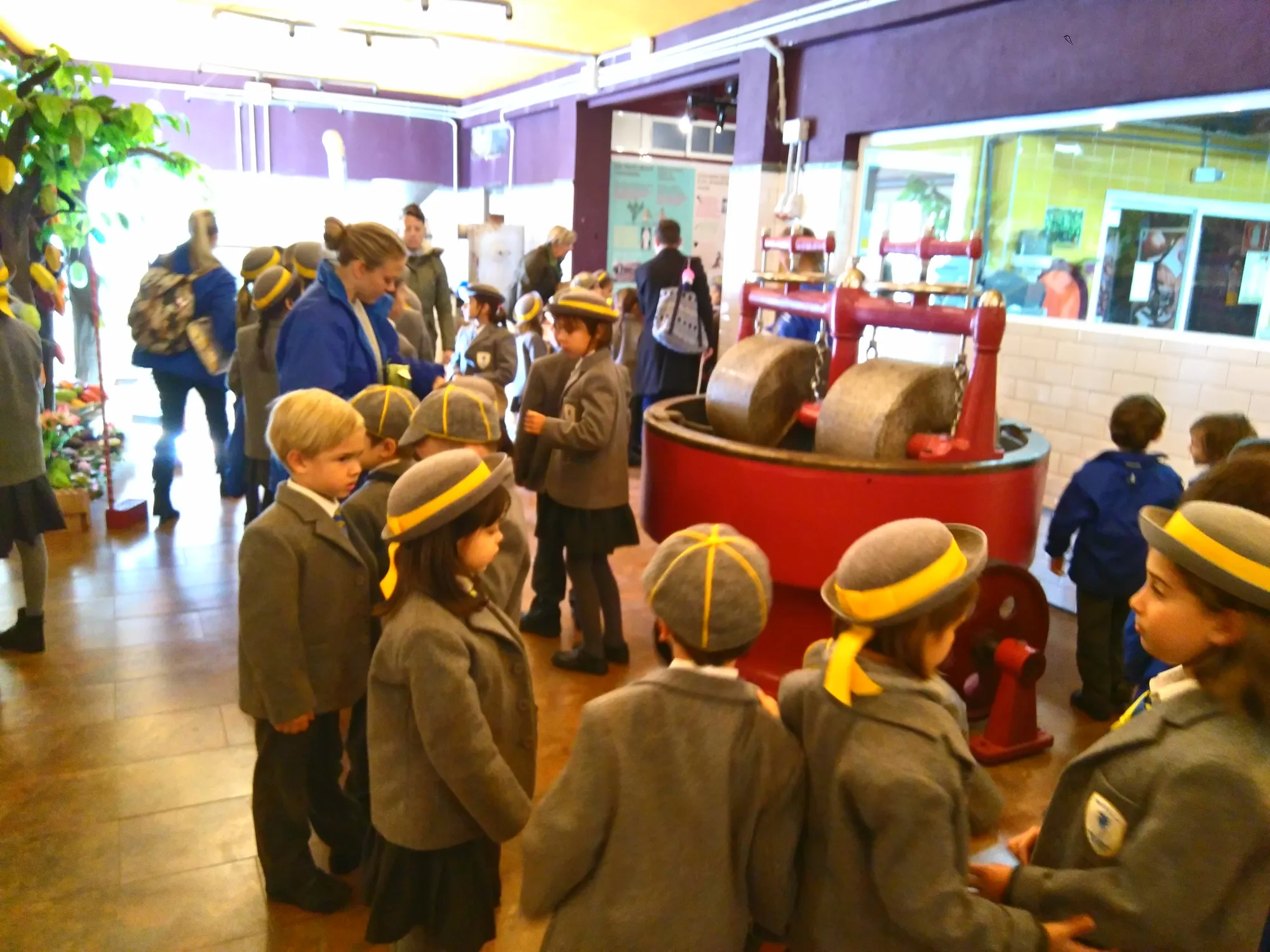 Mayan Monkey Chocolate Factory