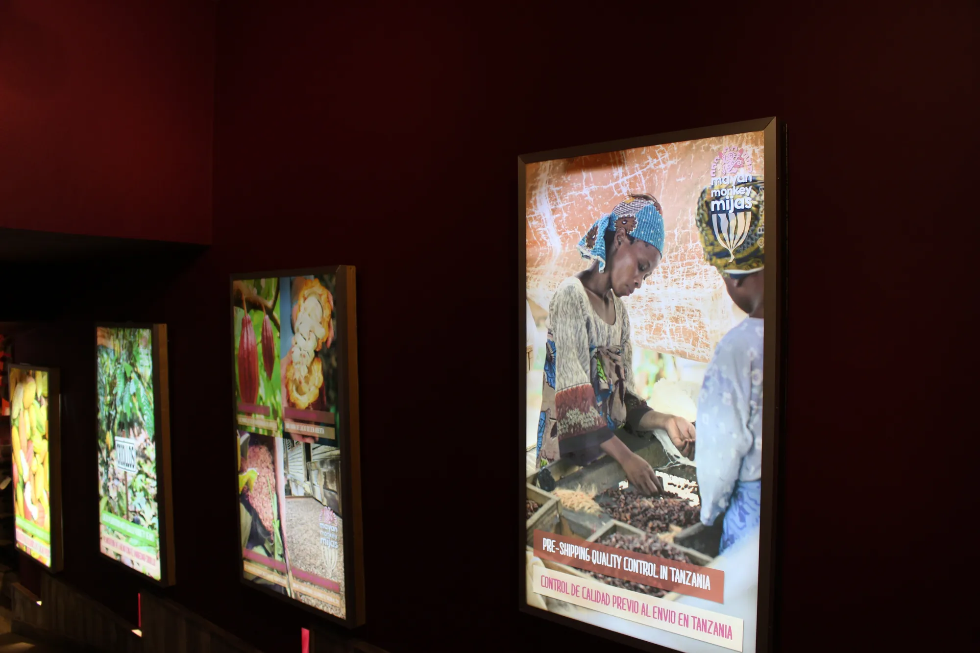 Mayan Monkey Chocolate Factory