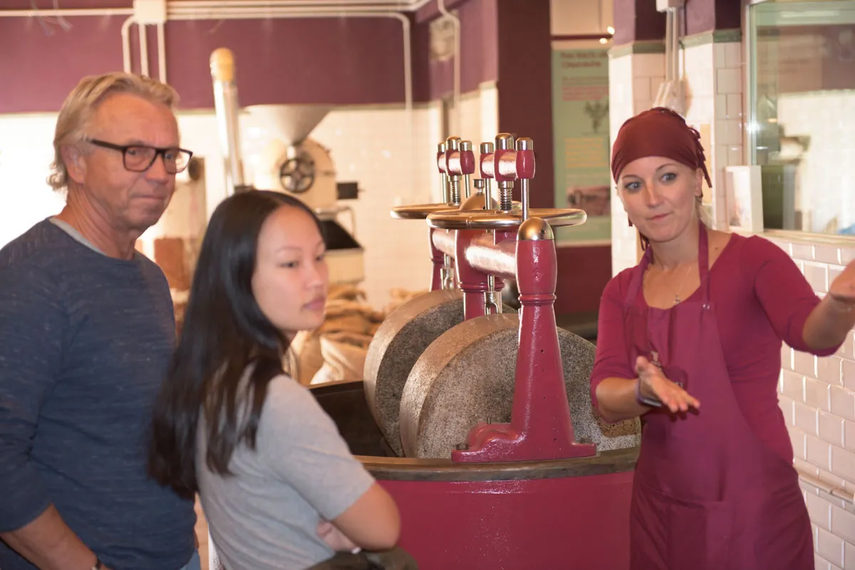 Mayan Monkey Chocolate Factory