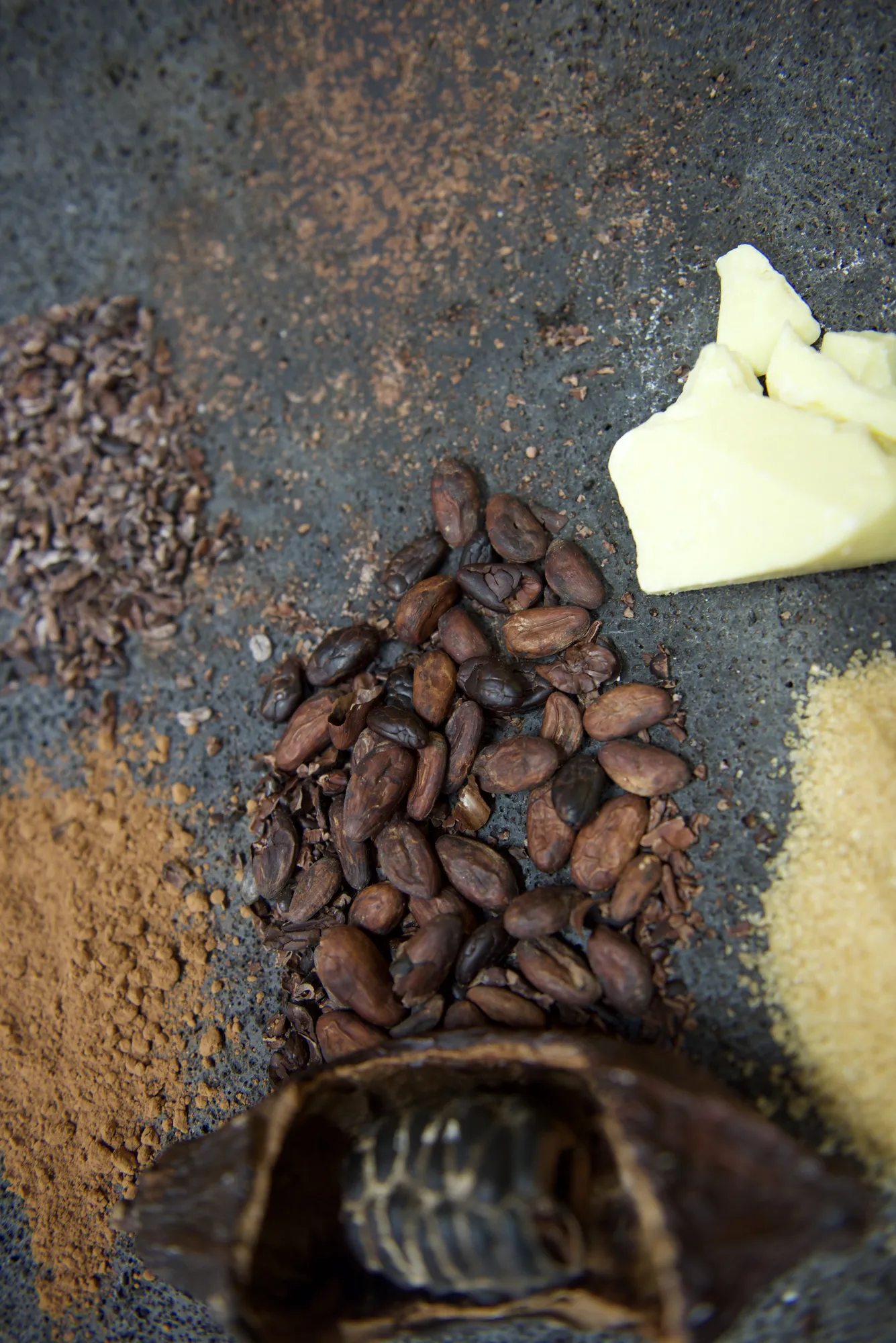 Mayan Monkey Chocolate Factory