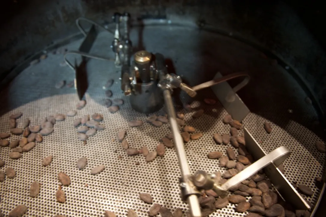 Mayan Monkey Chocolate Factory