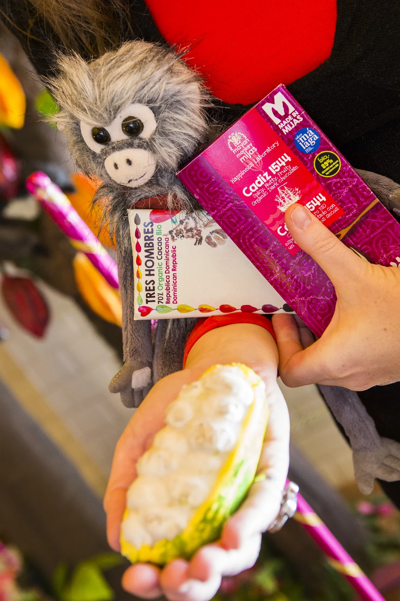 Mayan Monkey Chocolate Factory