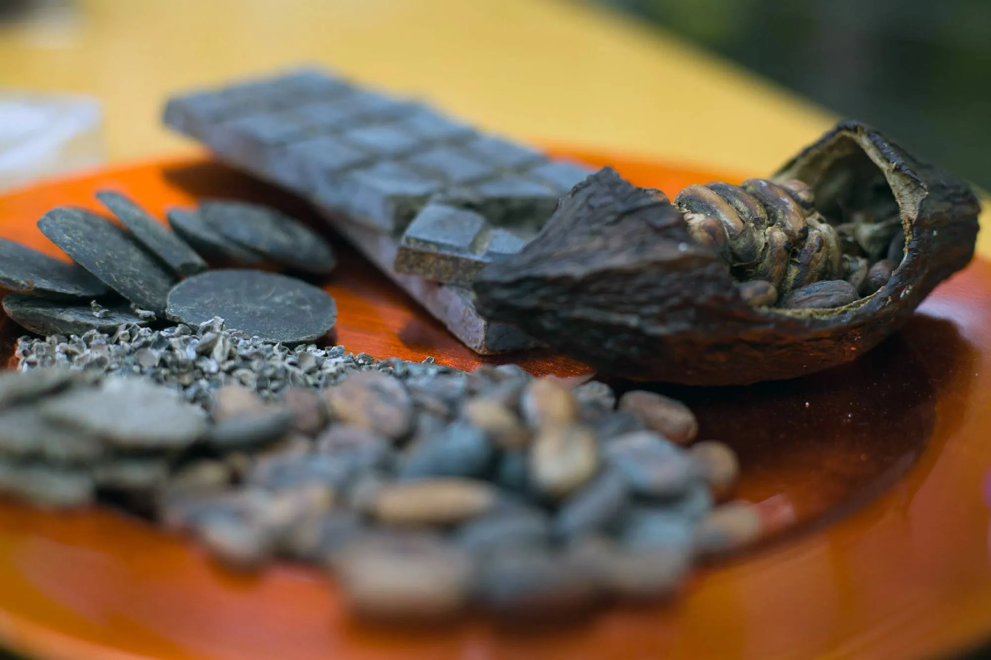 Mayan Monkey Chocolate Factory