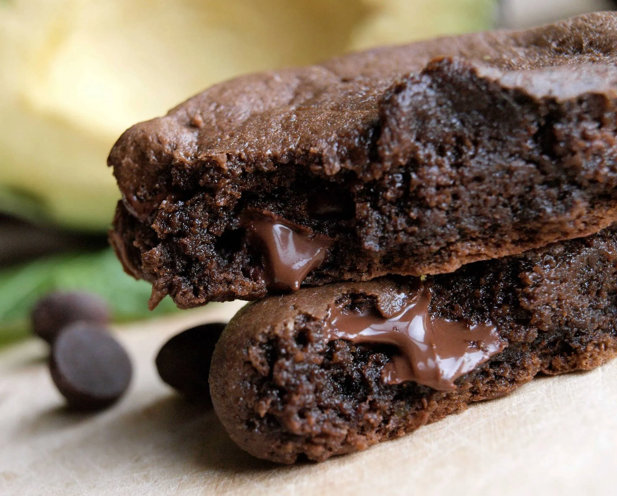 Mayan Monkey Chocolate Factory