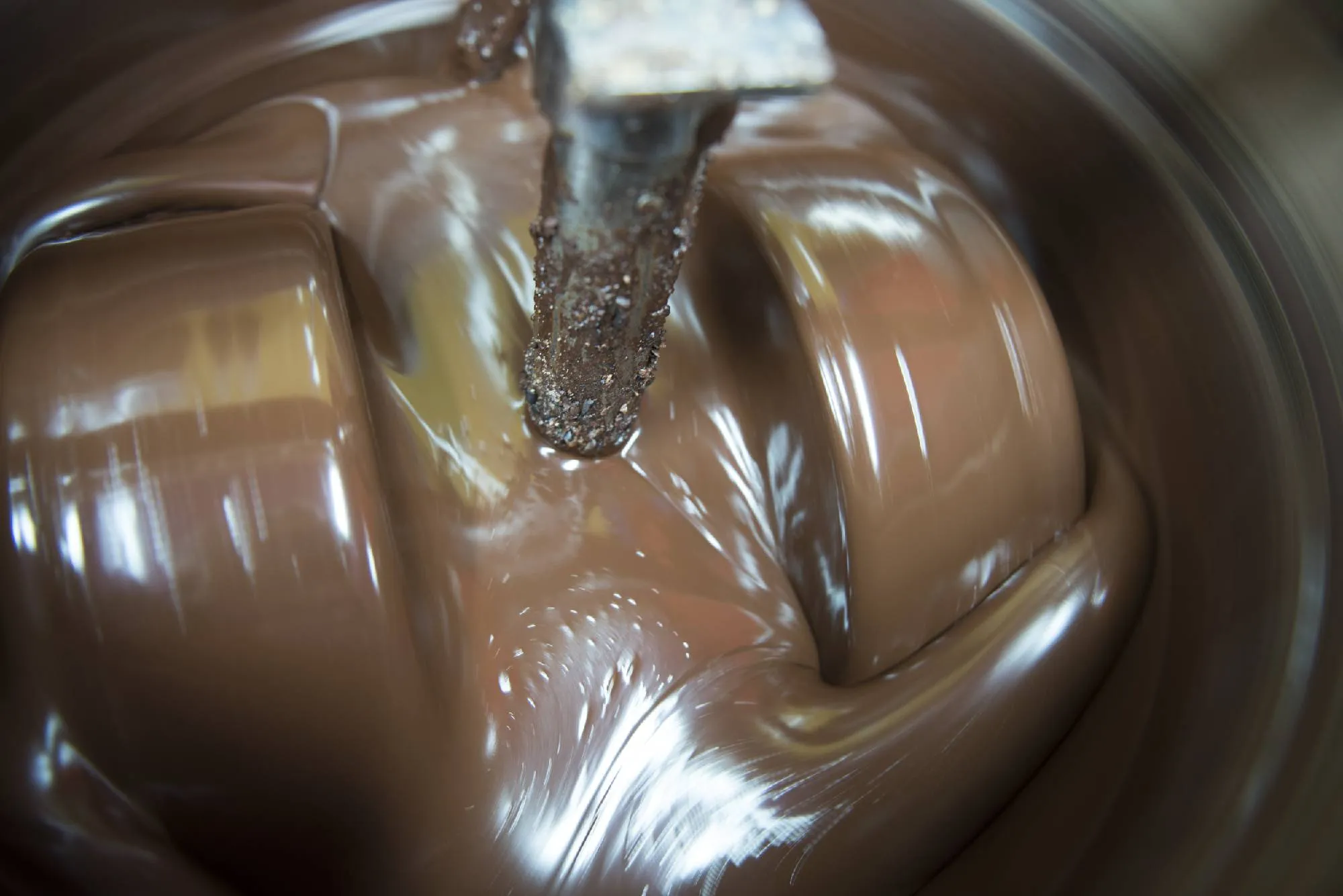 Mayan Monkey Chocolate Factory