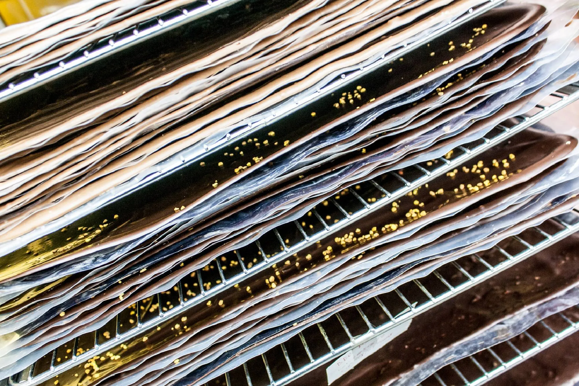 Mayan Monkey Chocolate Factory