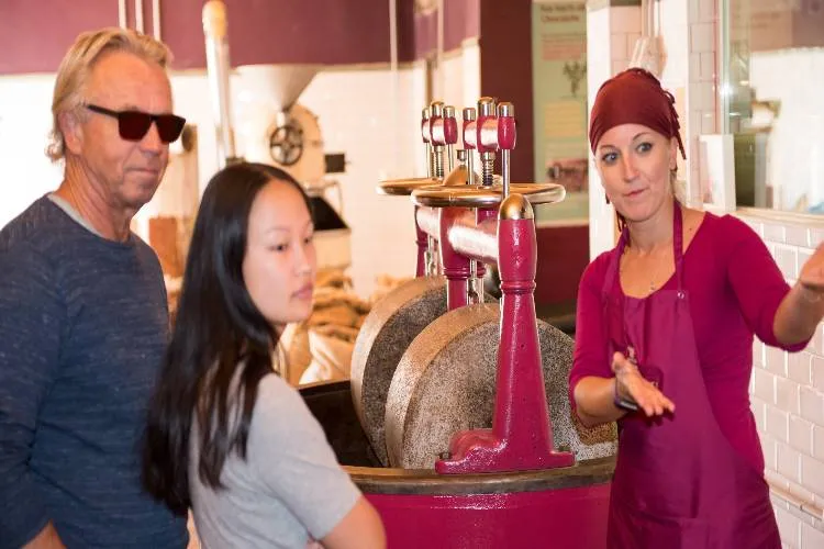 Mayan Monkey Chocolate Factory