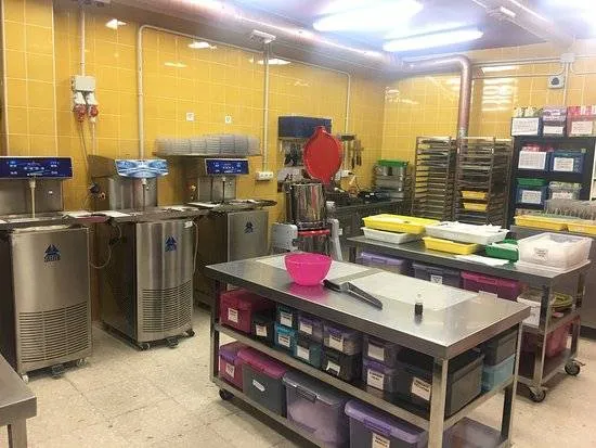 Mayan Monkey Chocolate Factory