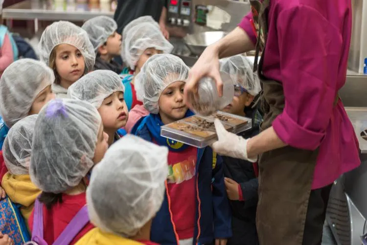 Mayan Monkey Chocolate Factory