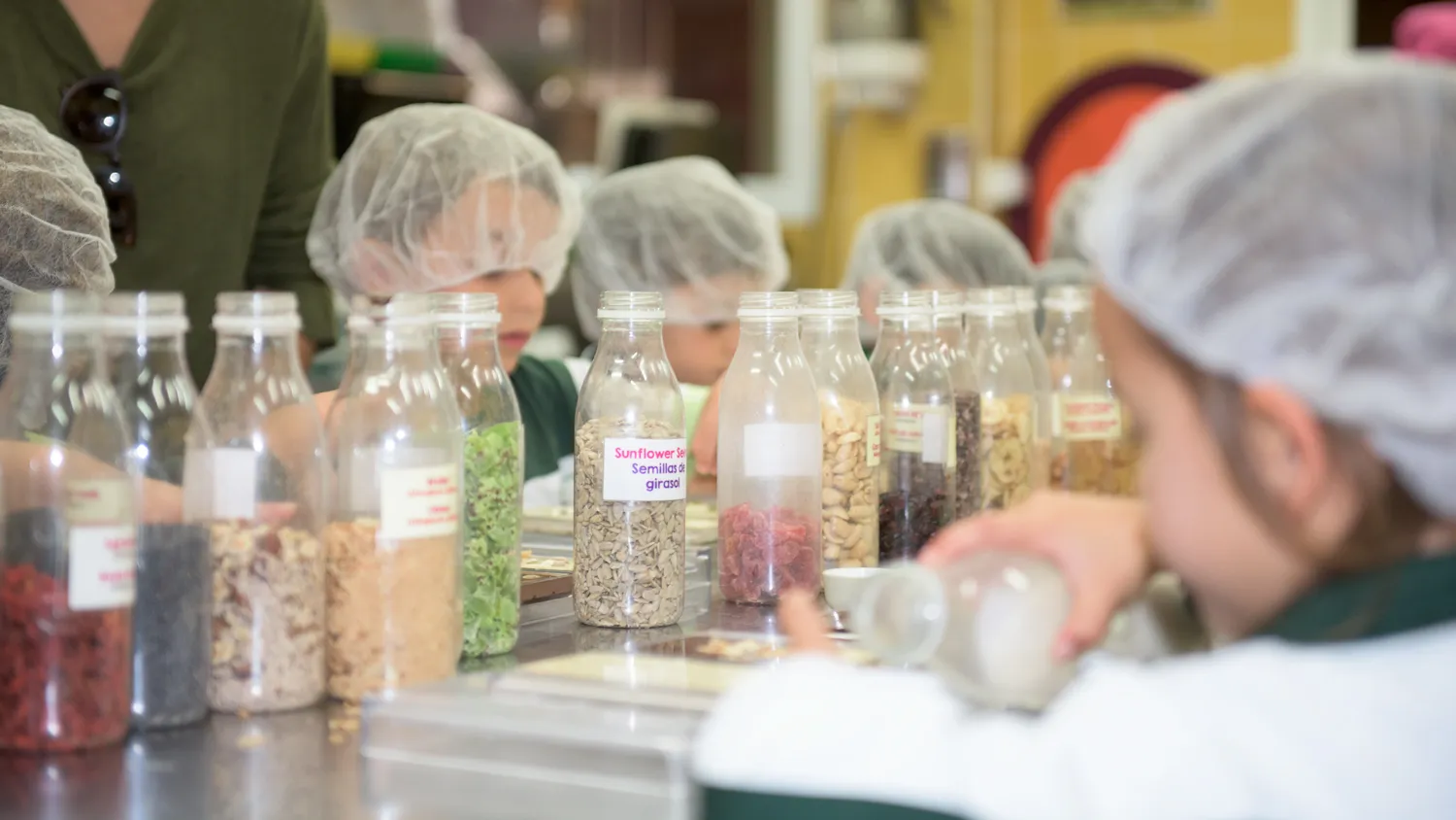 Mayan Monkey Chocolate Factory