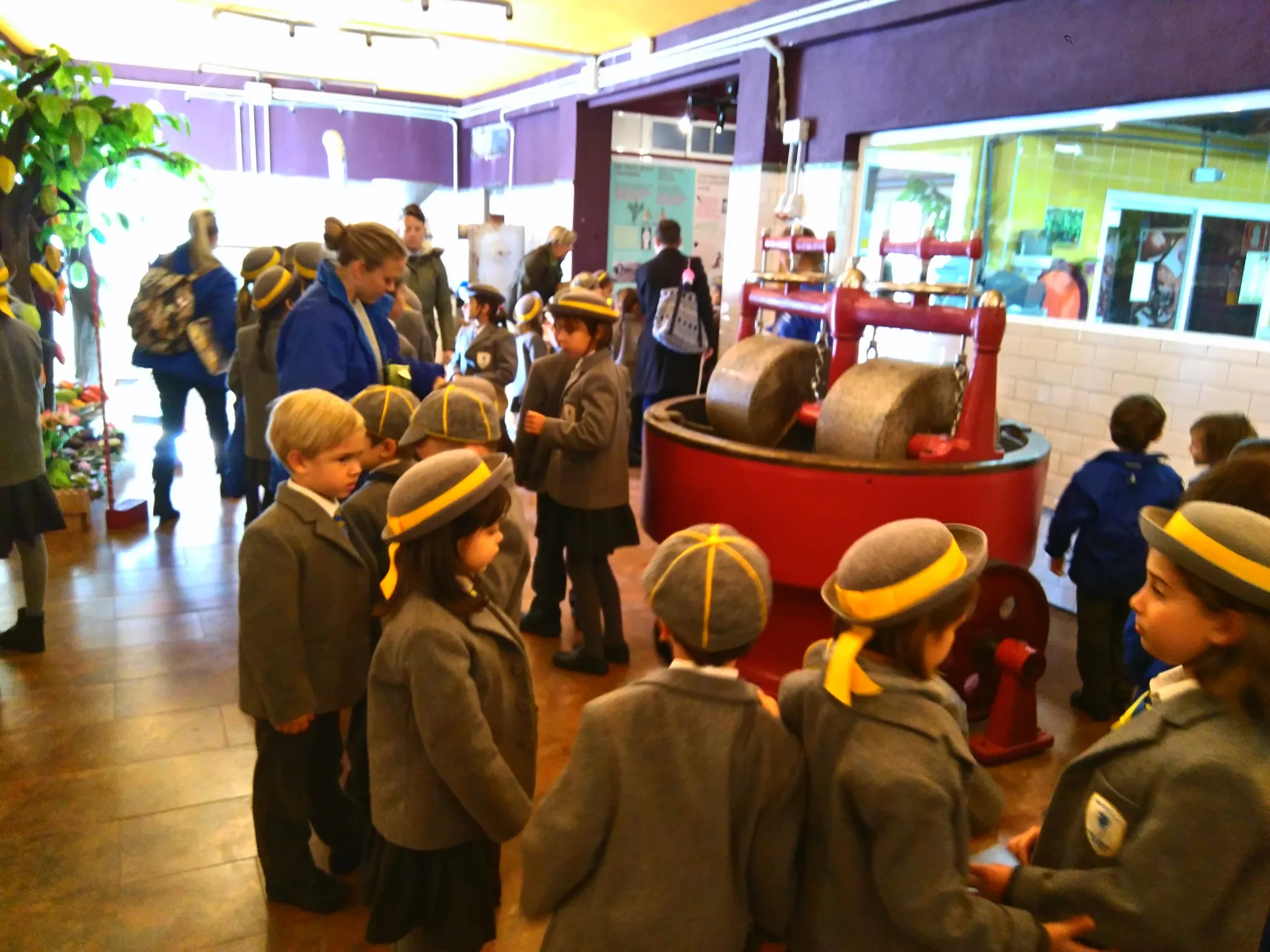 Mayan Monkey Chocolate Factory