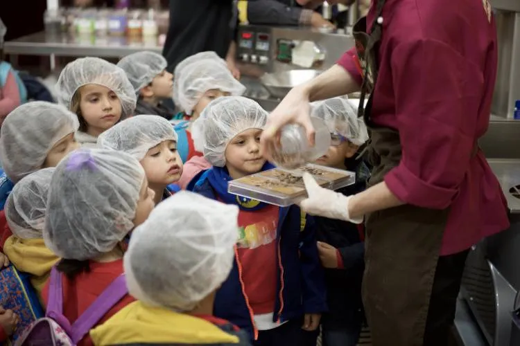 Mayan Monkey Chocolate Factory